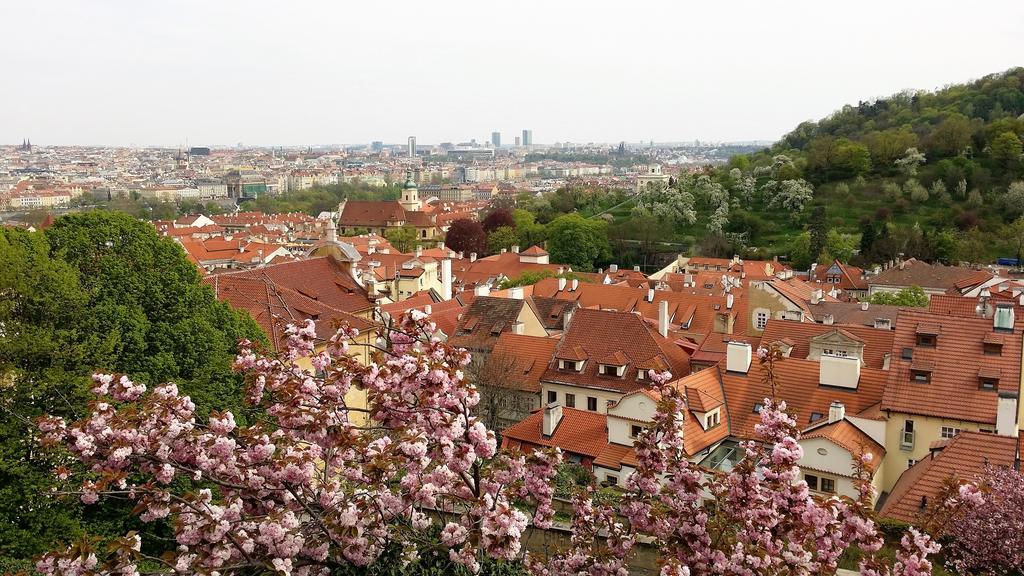 Studio Zuzana Prague Exterior photo
